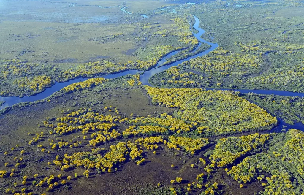 Wat is het belang van de Pantanal in Brazilië?