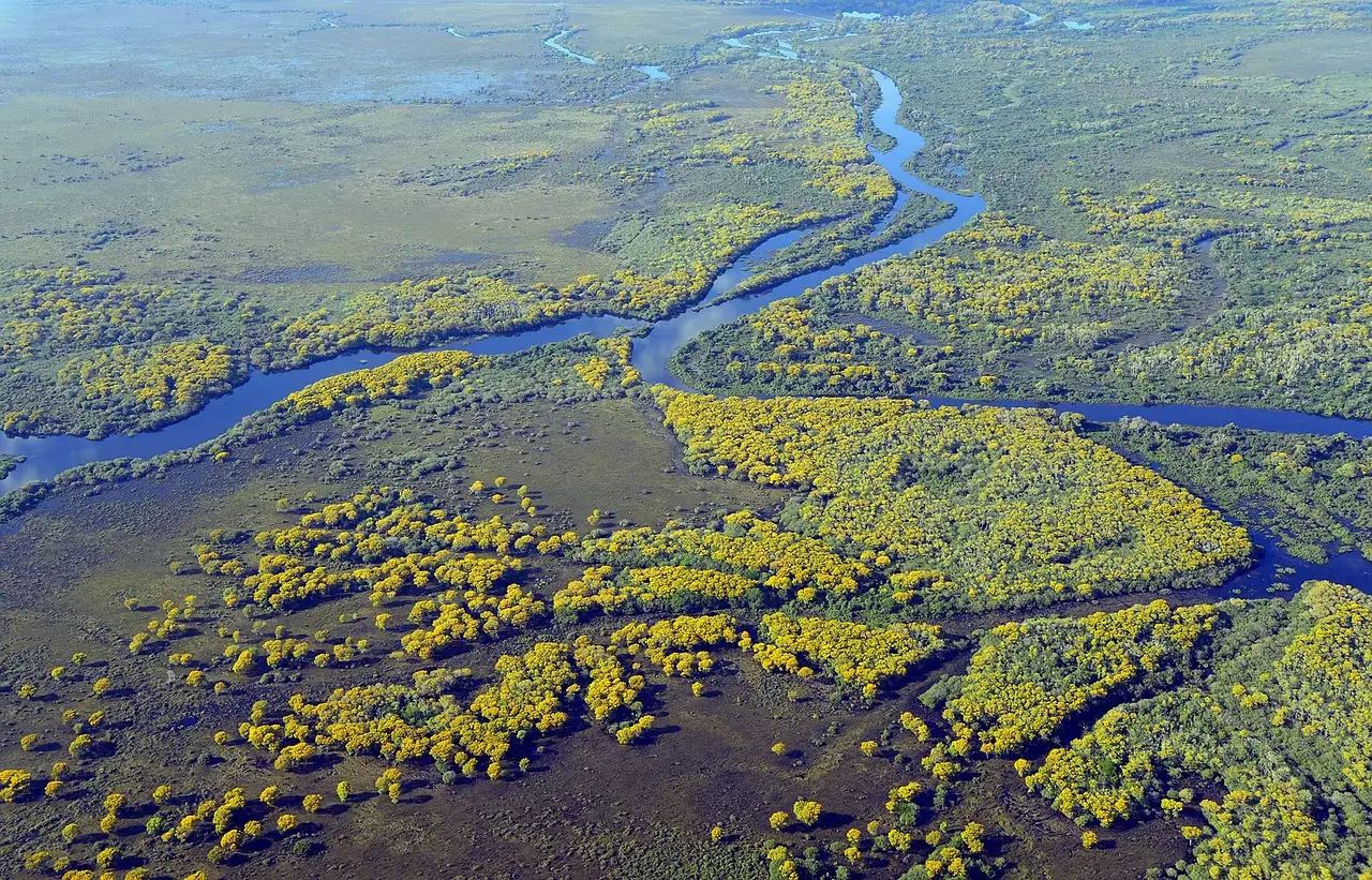Wat is het belang van de Pantanal in Brazilië?