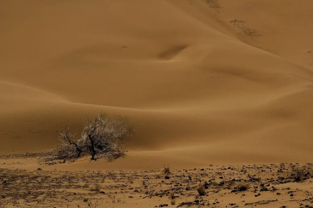 Wat maakt de Dasht-e Lut in Iran zo heet?