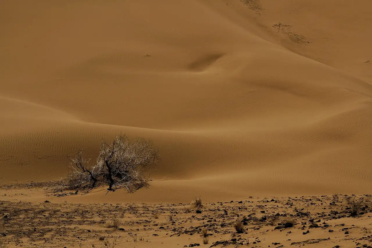 Wat maakt de Dasht-e Lut in Iran zo heet?