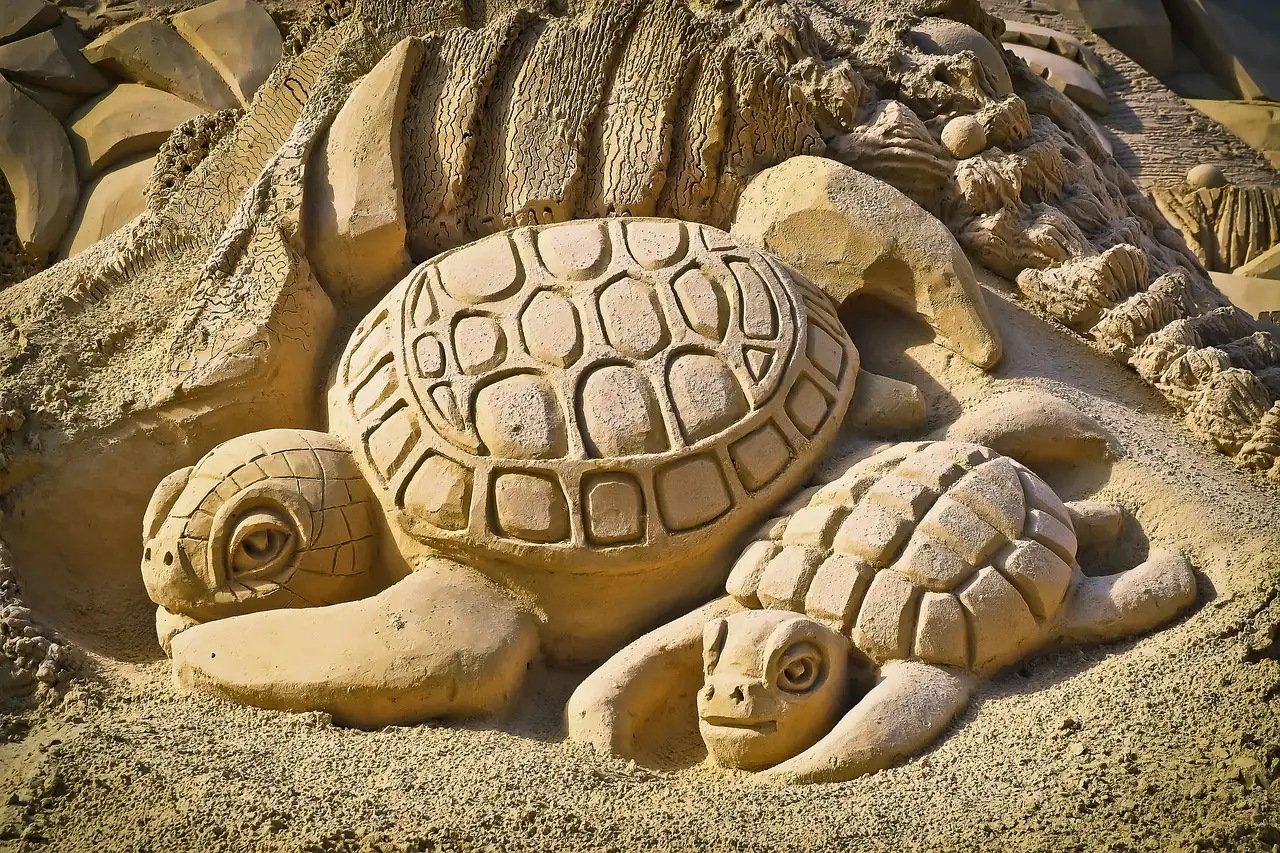 Wat maakt het voortplantingsproces van schildpadden uniek?