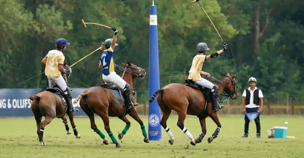 Wat zijn de spelregels van polo? Ontdek alles hier!