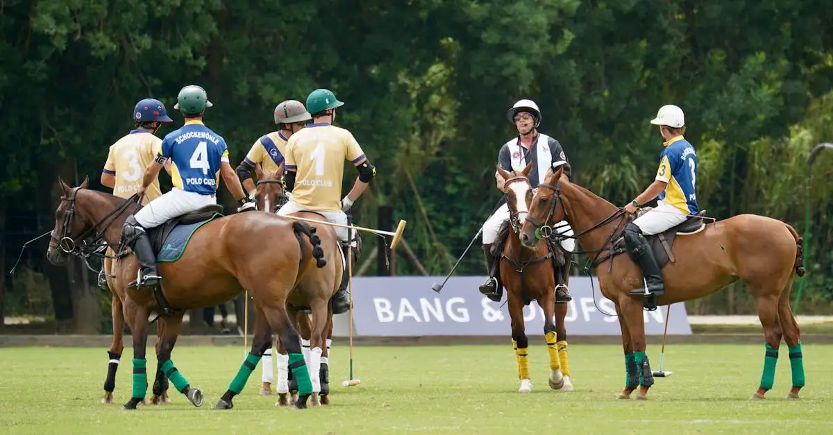 Wat zijn de spelregels van polo? Ontdek alles hier!