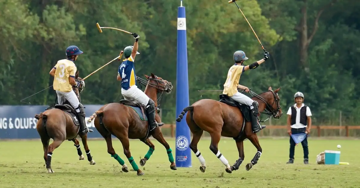 Wat zijn de spelregels van polo? Ontdek alles hier!