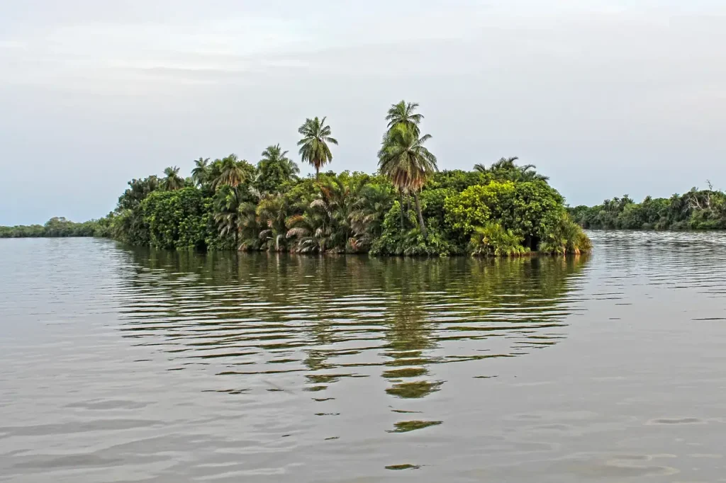Wat zijn de top 3 bezienswaardigheden in Gambia?