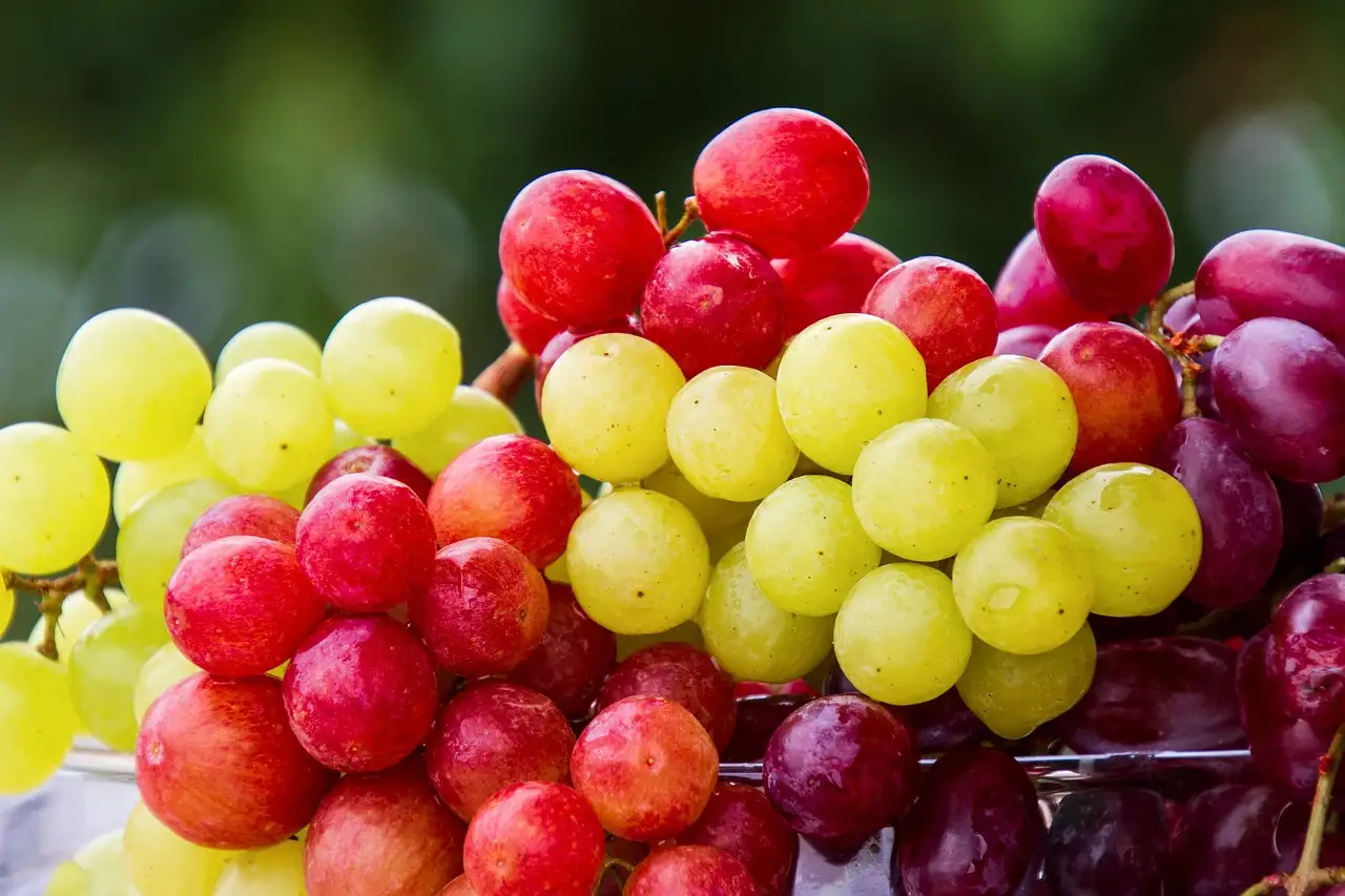 Welk fruit eten bij buikgriep? Ontdek de beste keuzes!