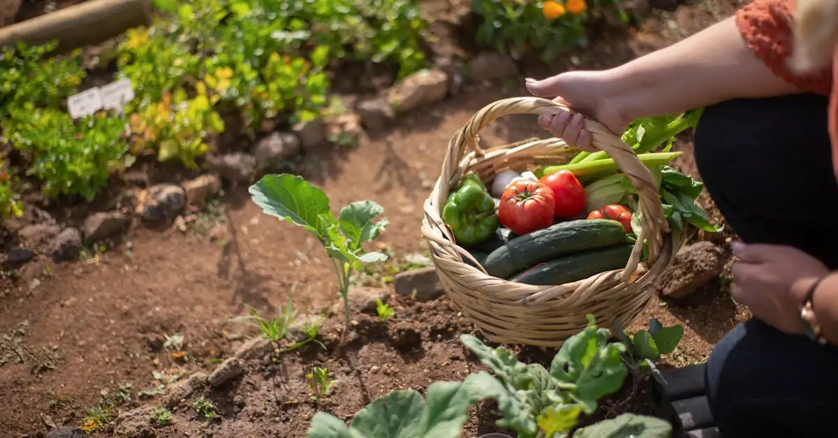 Welke groente bij elkaar in moestuin? Ontdek de beste combinaties!