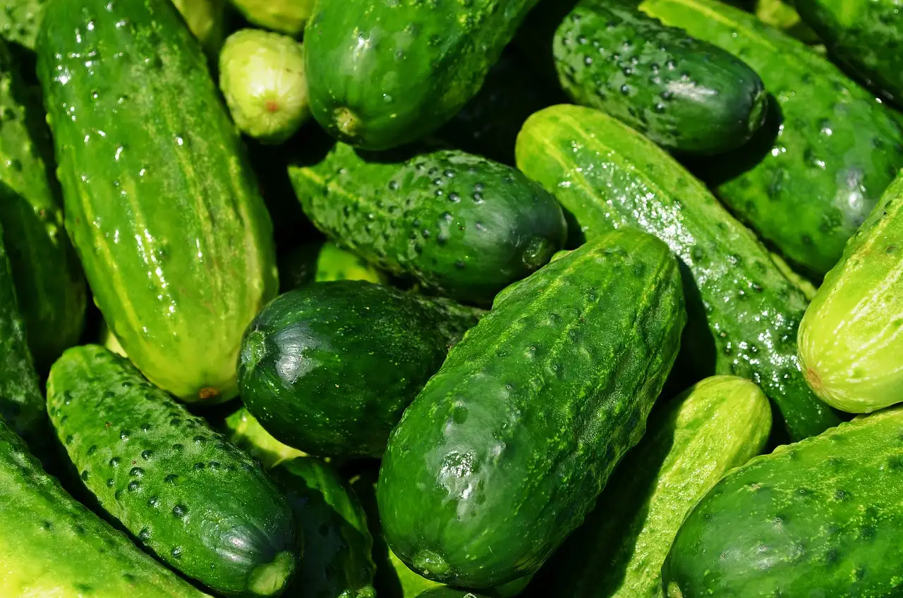 Welke groenten bij vispannetje? Ontdek heerlijke combinaties!