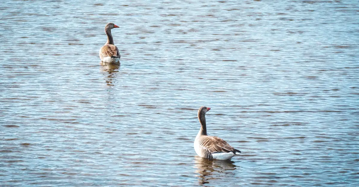 Welke regio beschermt Lake Nakuru National Park in Kenia?