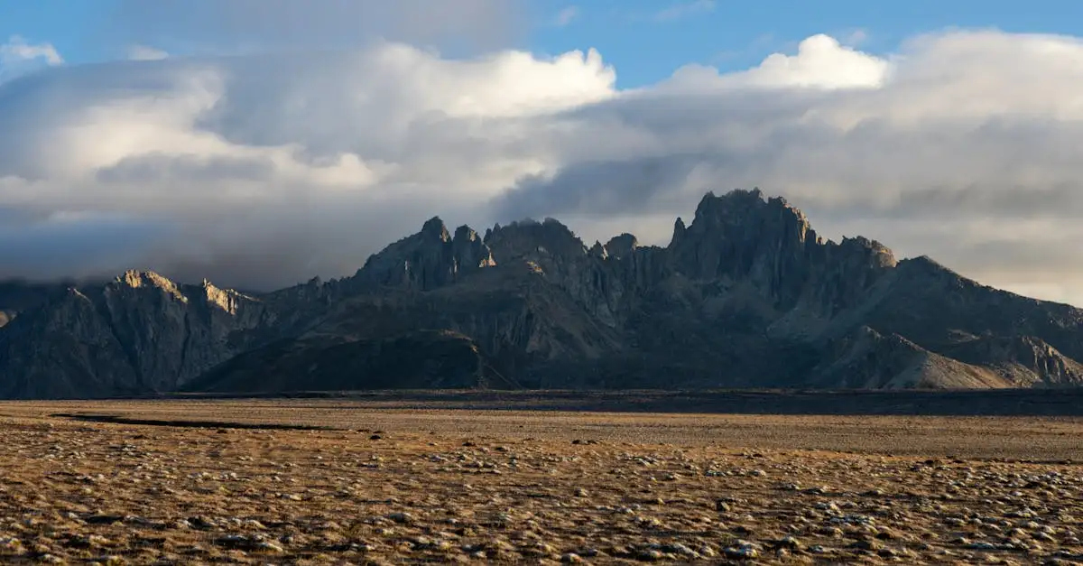 Welke regio in Schotland herbergt de Cairngorms?