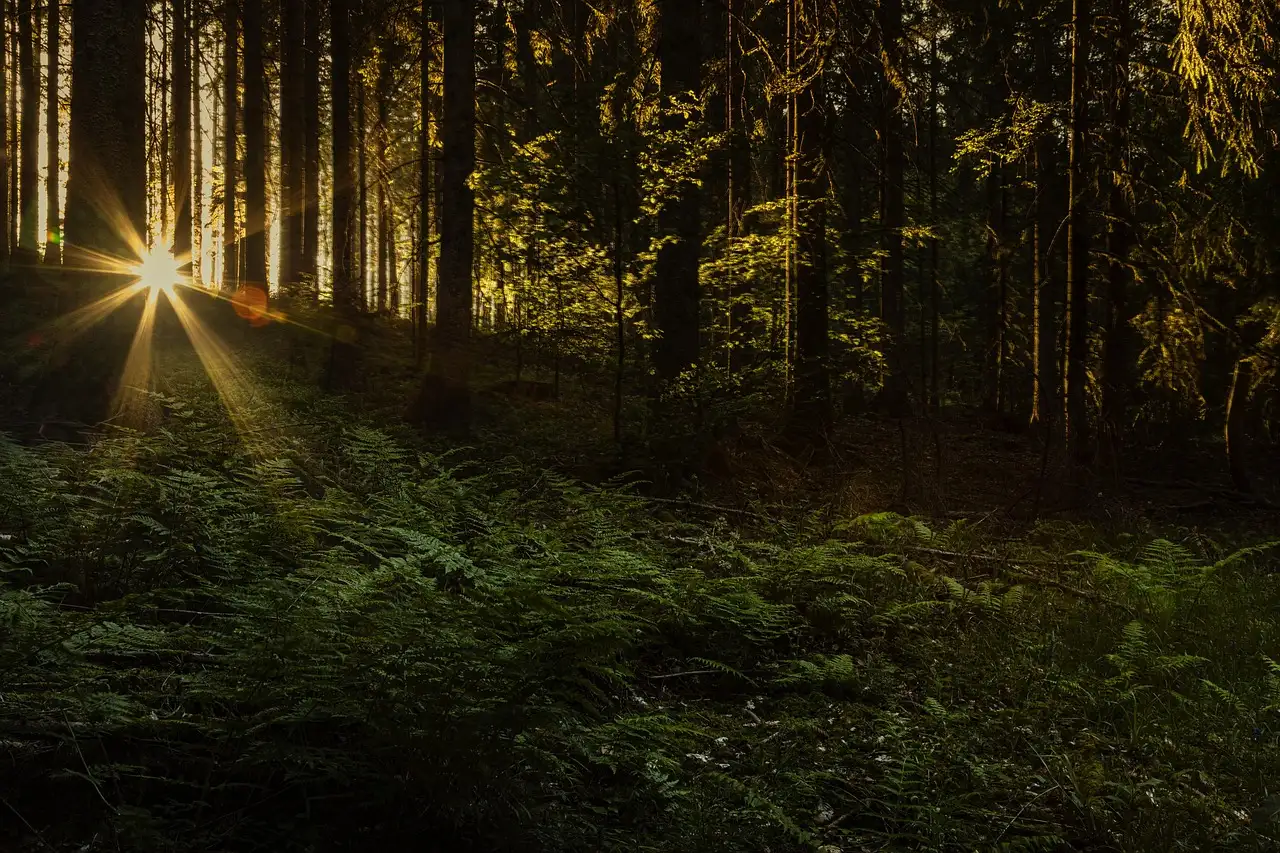 Welke Scandinavische stad was het Viking handelscentrum?