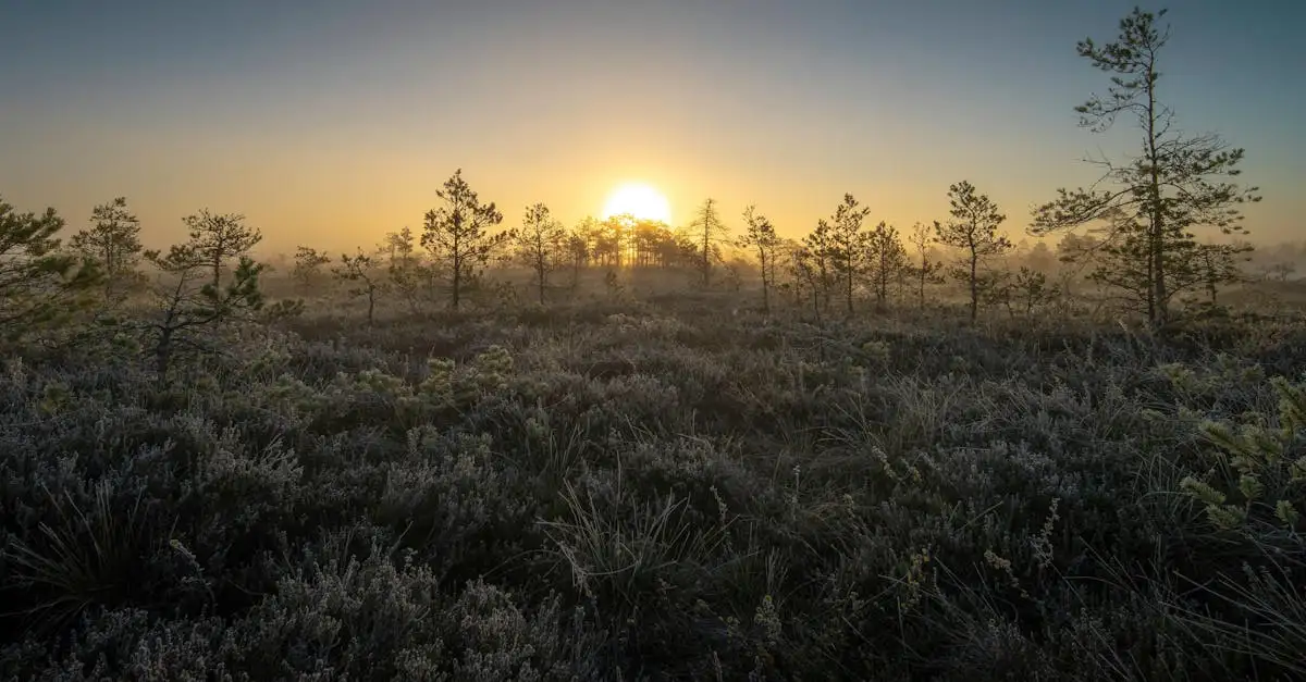 Welke tog bij welke temperatuur? Ontdek de juiste keuze!