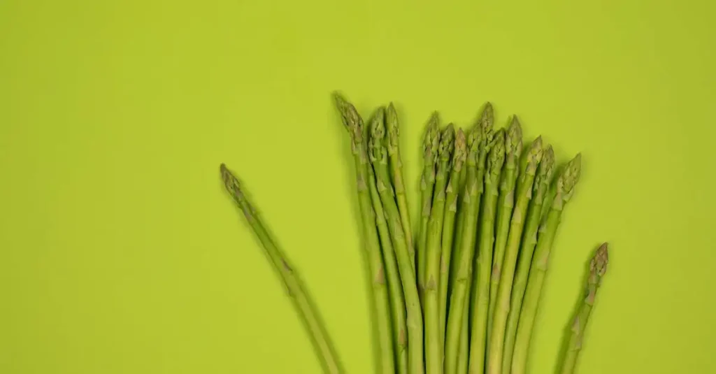 Welke vitamine bij extreme vermoeidheid? Ontdek de beste tips!