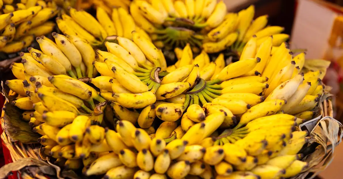 Welke vitamine bij extreme vermoeidheid? Ontdek de beste tips!