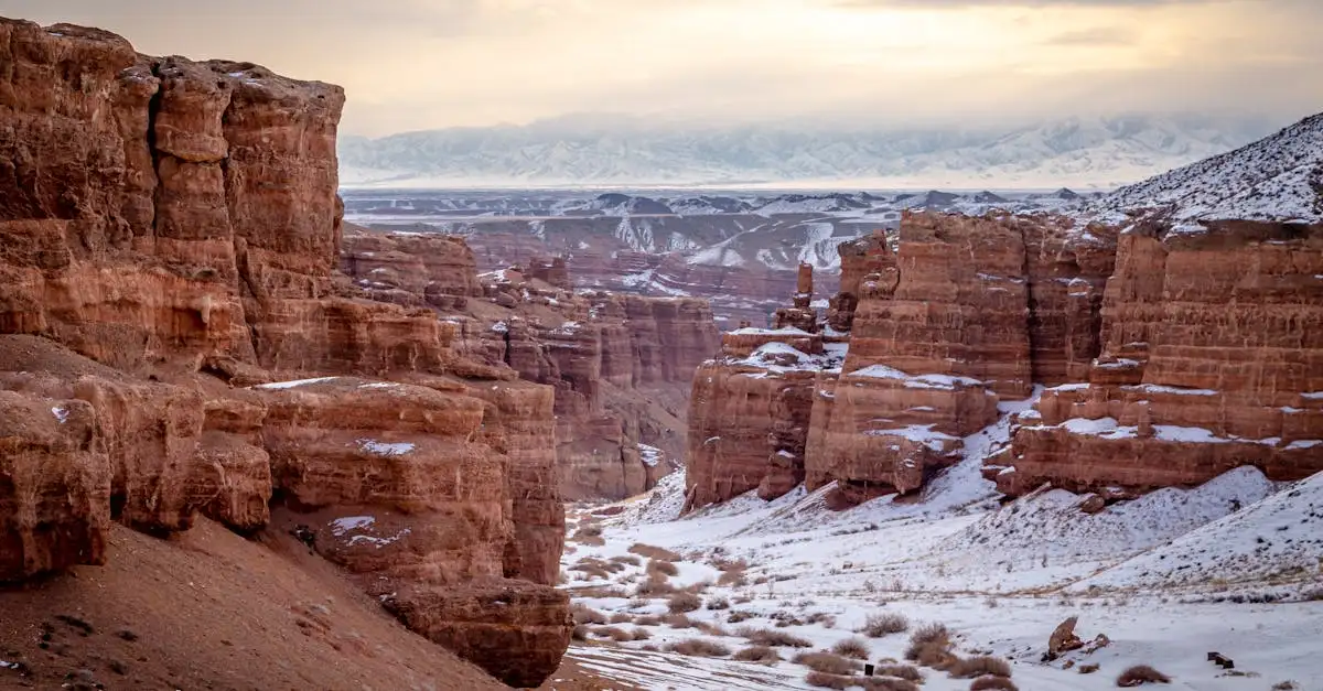 Welke woestijn in Kazachstan en Oezbekistan heeft het Aralmeer?