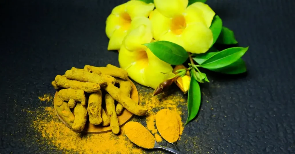 Curcuma waar is het goed voor? Ontdek de gezondheidsvoordelen!