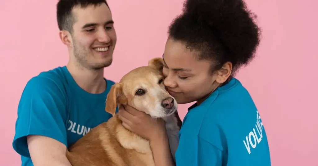 Hoe hielpen honden vroege menselijke samenlevingen?