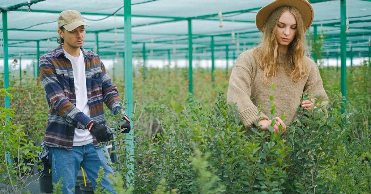 Hoe verbeterden landbouwtechnieken in China tijdens de Han-dynastie?