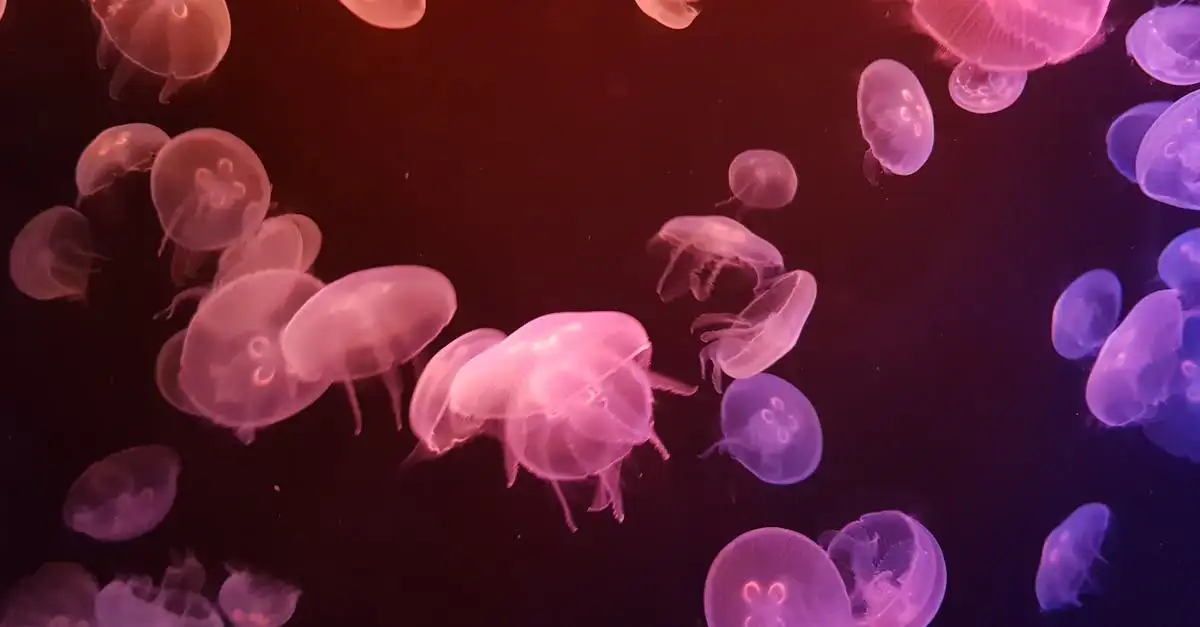 Hoe werkt bioluminescentie bij diepzeedieren?