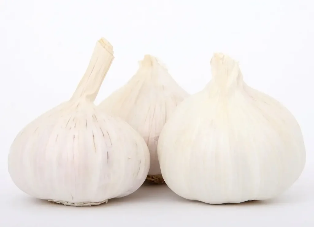 Knoflook waar goed voor? Ontdek de gezondheidsvoordelen!