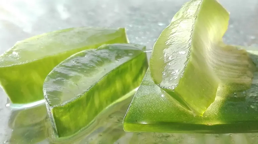 Waar is aloe vera goed voor? Ontdek de voordelen en toepassingen!