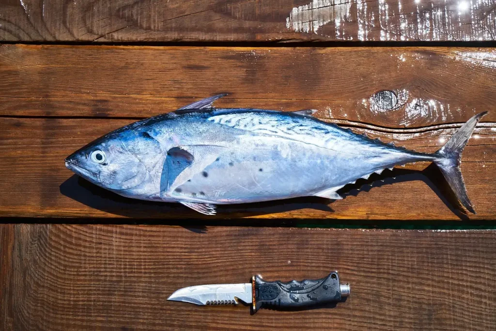 Waar is omega 3 visolie goed voor? Ontdek de voordelen nu!