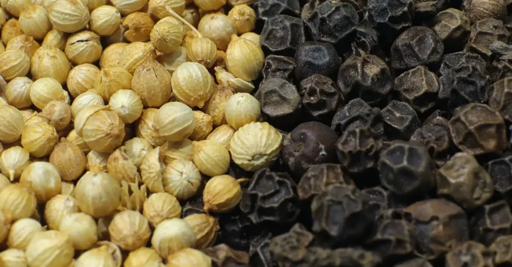 Waar is zwarte peper goed voor? Ontdek de gezondheidsvoordelen!