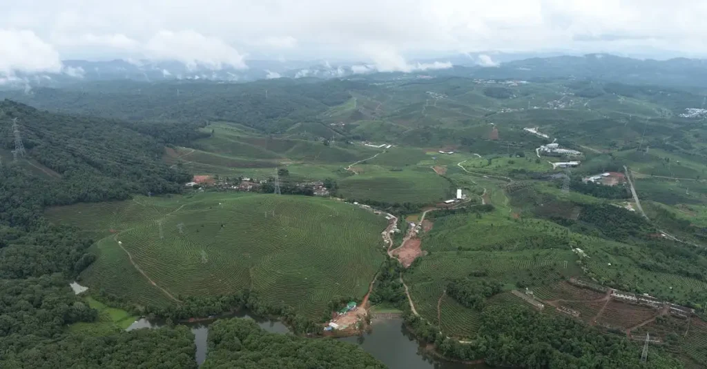 Waar vind je theeplantages in China? Ontdek het hier!
