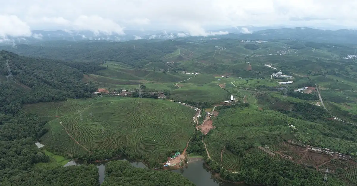 Waar vind je theeplantages in China? Ontdek het hier!