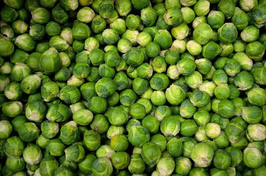 Waar zijn spruiten goed voor? Ontdek de gezondheidsvoordelen!