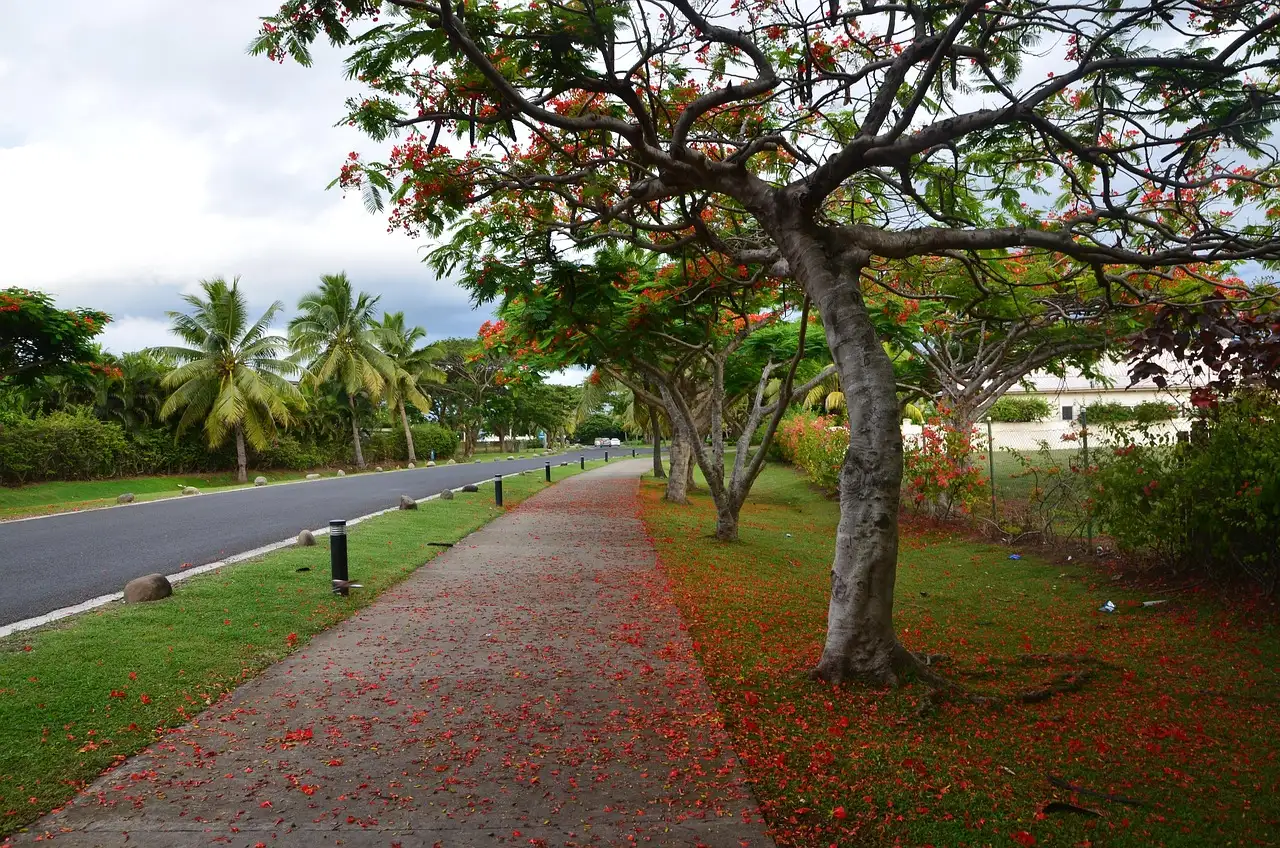 Wat is het beroemdste gebouw in Fiji? Ontdek het hier!