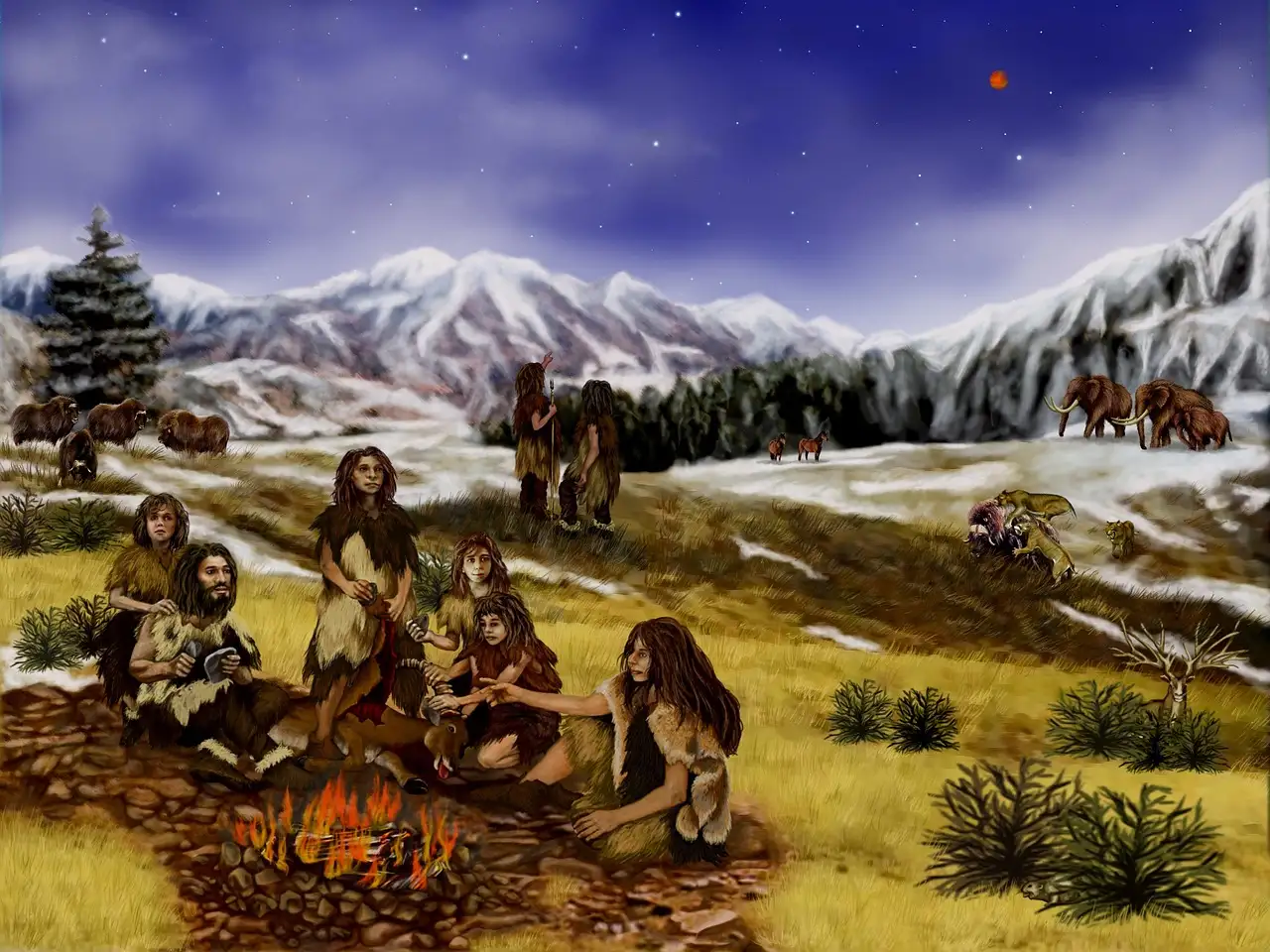 Wat zijn de fysieke kenmerken van Neanderthalers versus mensen?