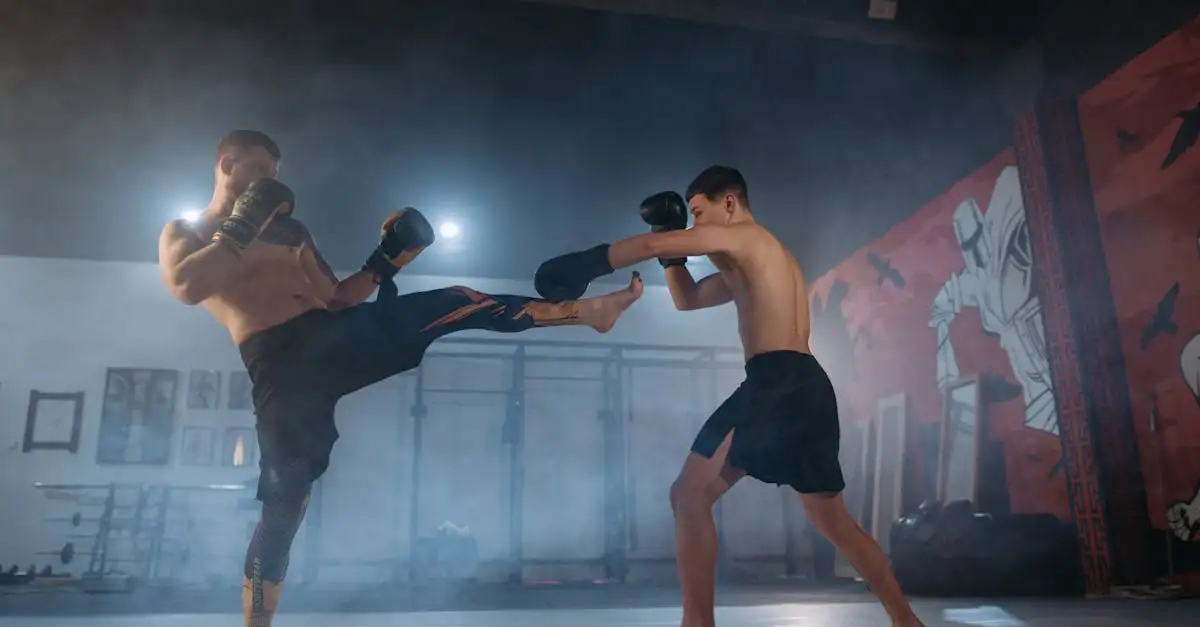 Wat zijn de spelregels van MMA (Mixed Martial Arts)? Ontdek ze nu!