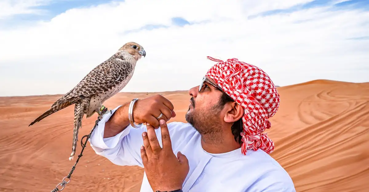 Wat zijn de unieke kenmerken van roofvogels zoals valken?