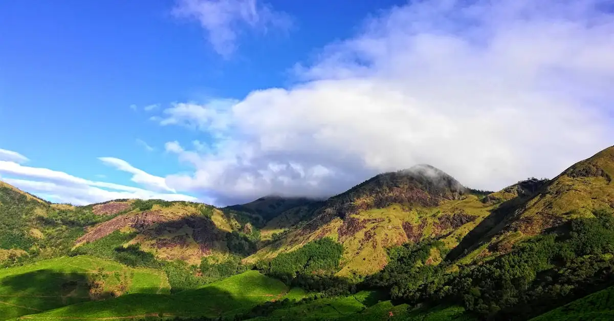 Welke bergketen ligt in Zuid-India, de West-Ghats?