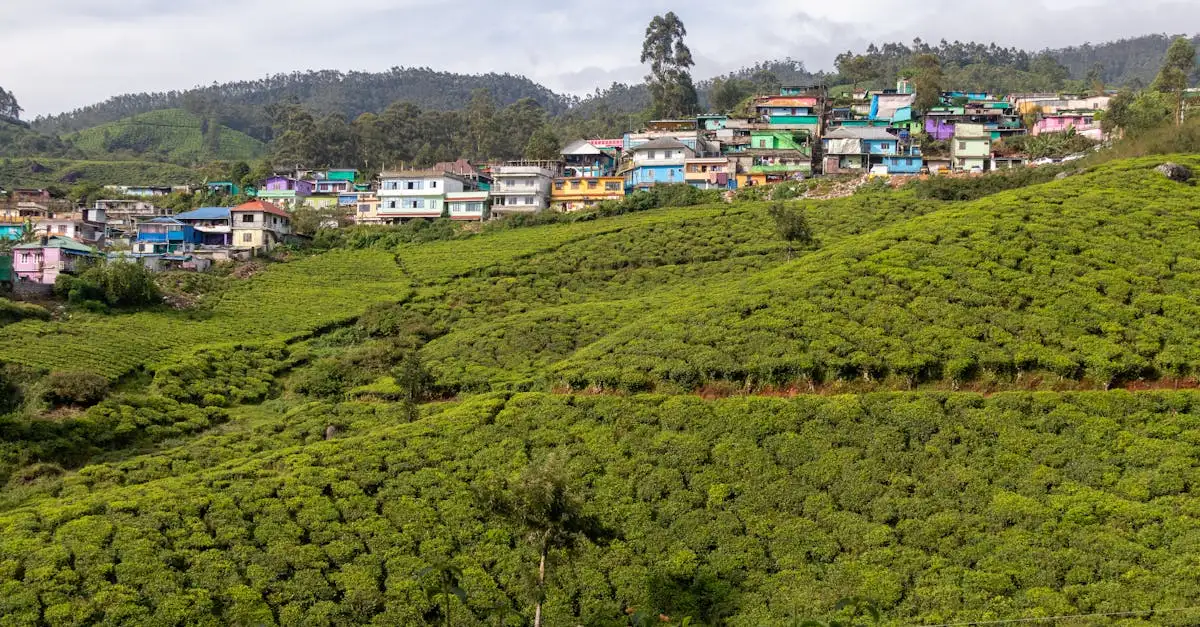 Welke bergketen ligt in Zuid-India, de West-Ghats?