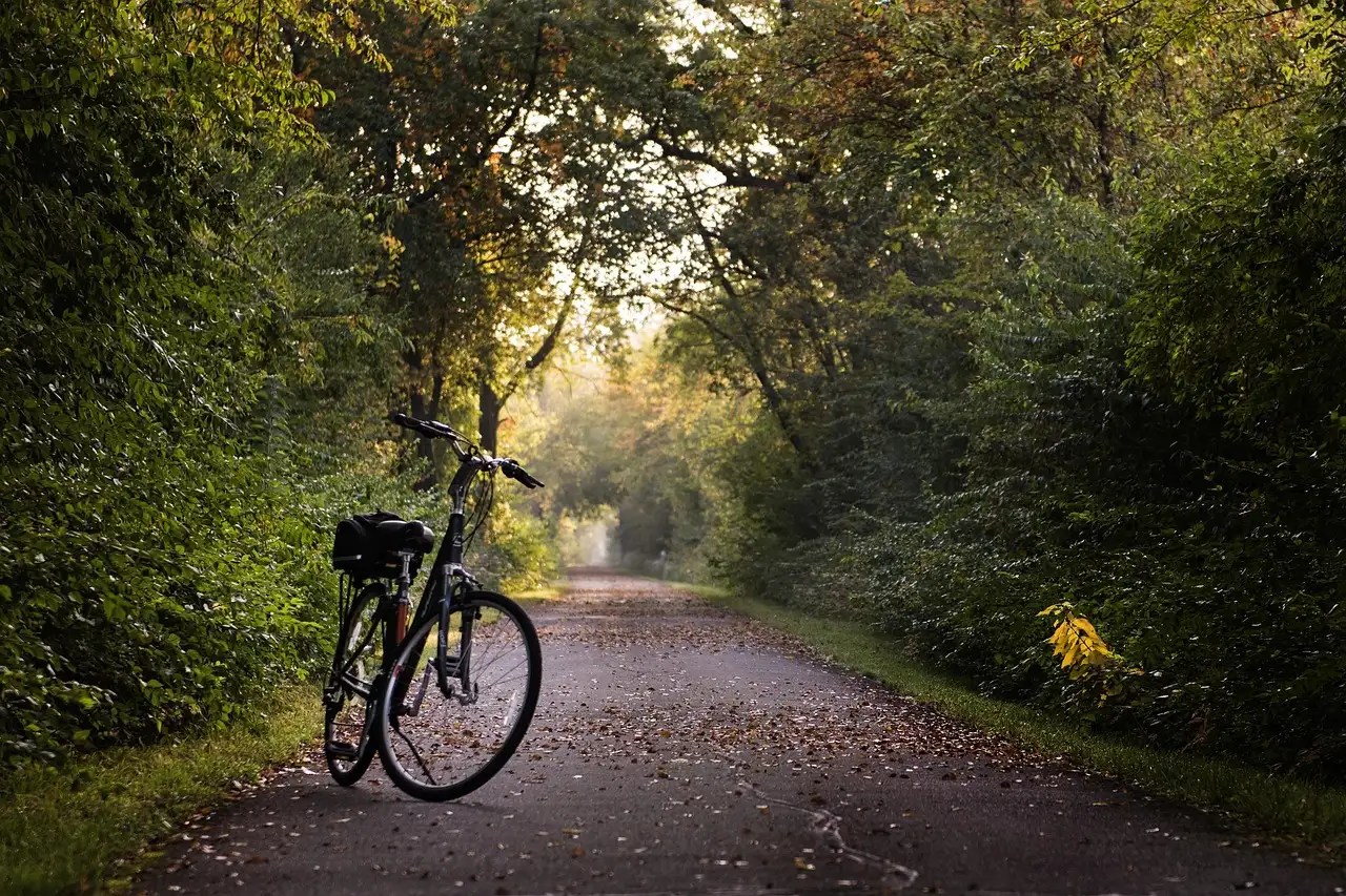Welke fiets past bij mij? Ontdek jouw ideale model!