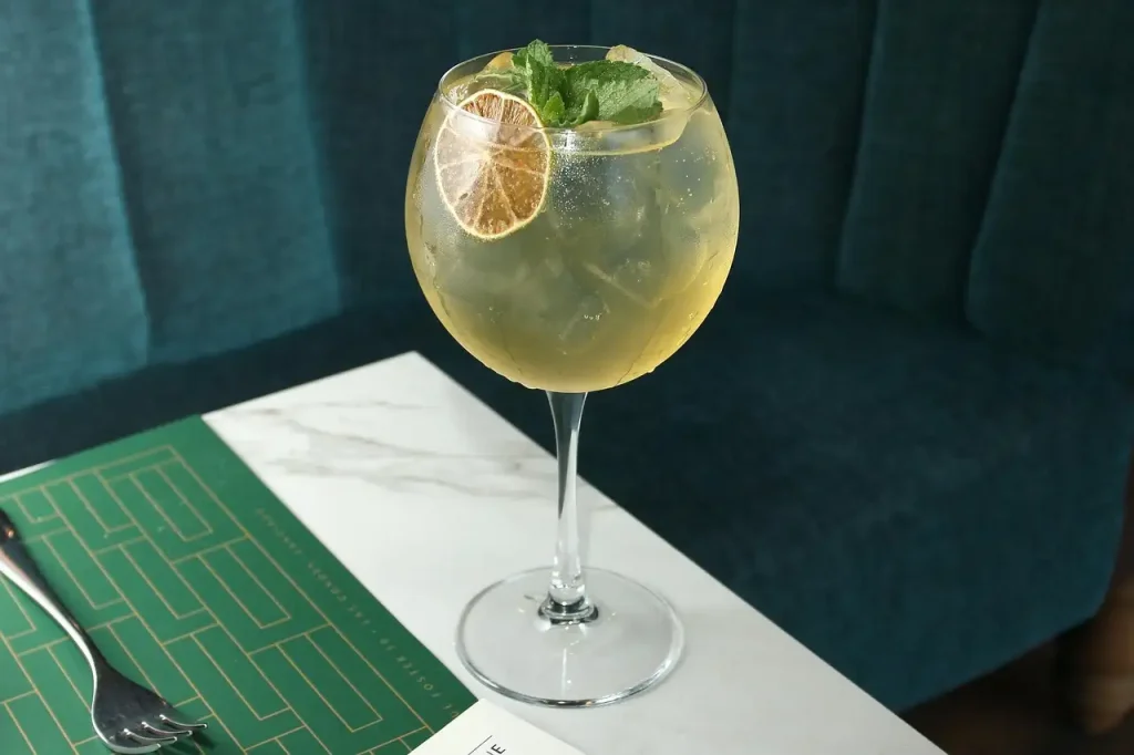Welke gin bij elderflower tonic? Ontdek de perfecte combinaties!