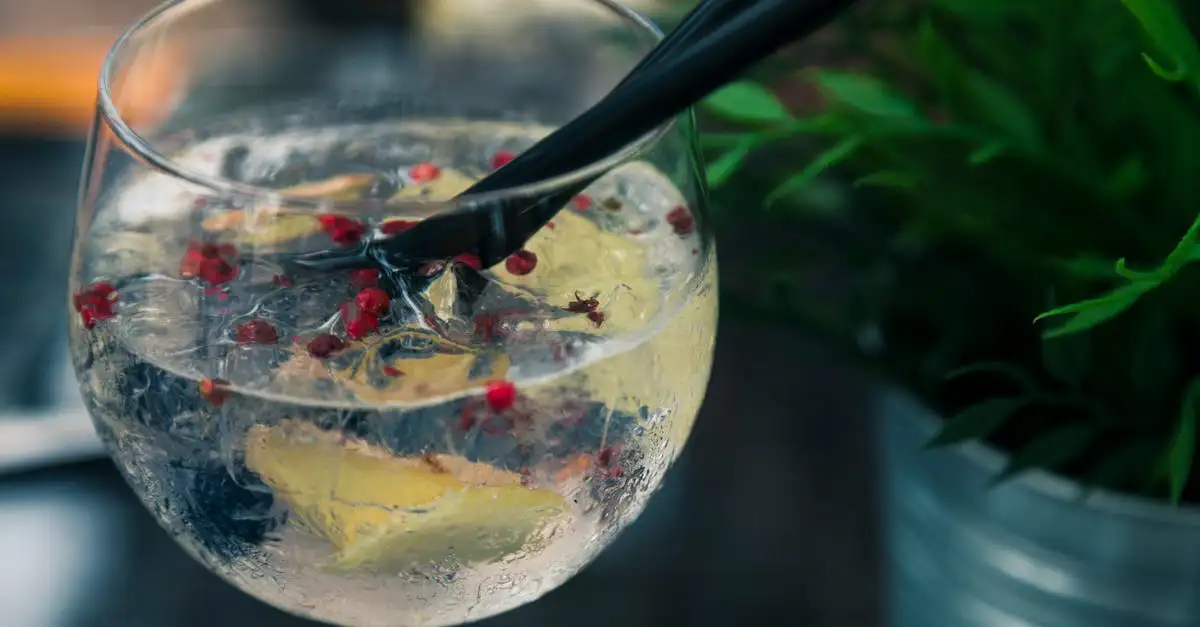 Welke gin bij elderflower tonic? Ontdek de perfecte combinaties!
