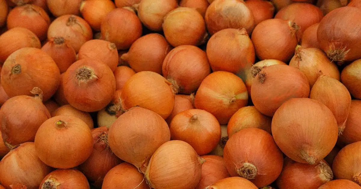 Welke groenten bij gamba's? Ontdek heerlijke combinaties!