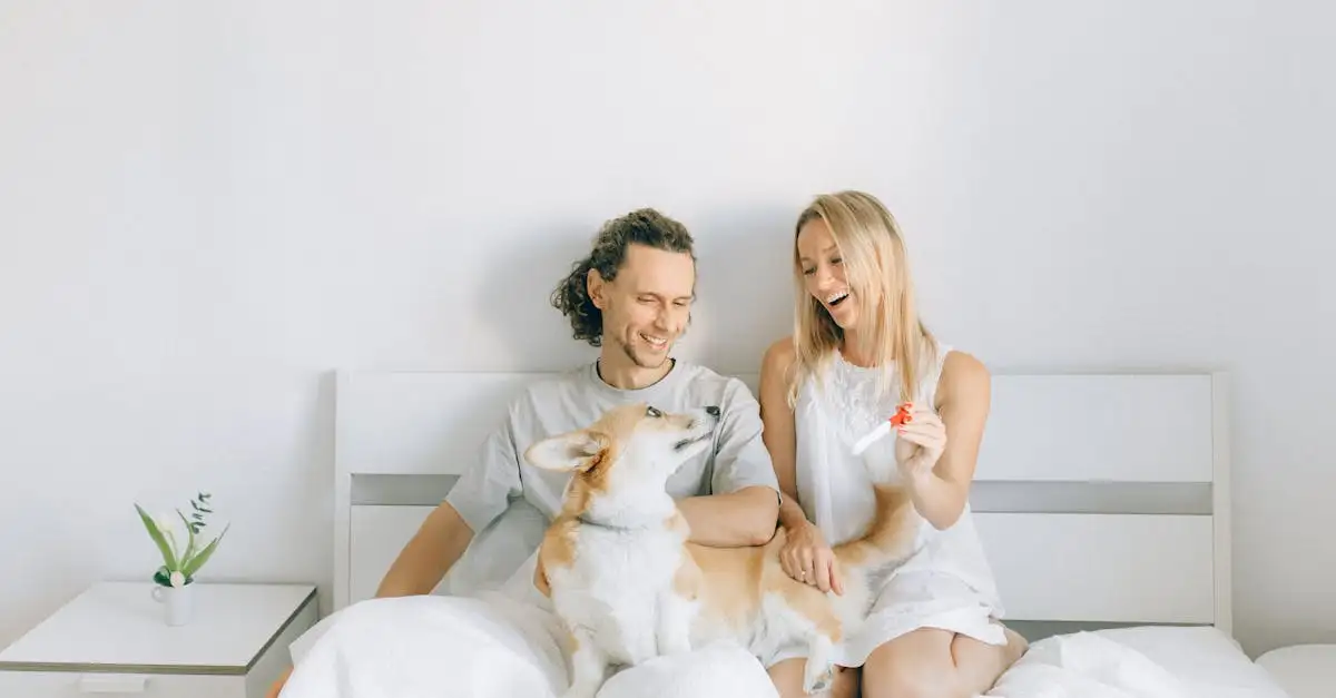 Welke hond past bij mijn gezin test? Ontdek je perfecte match!