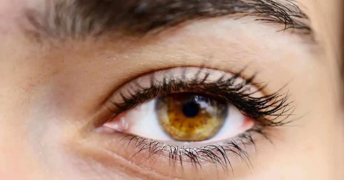 Welke kleur mascara bij bruine ogen? Ontdek de beste tips!