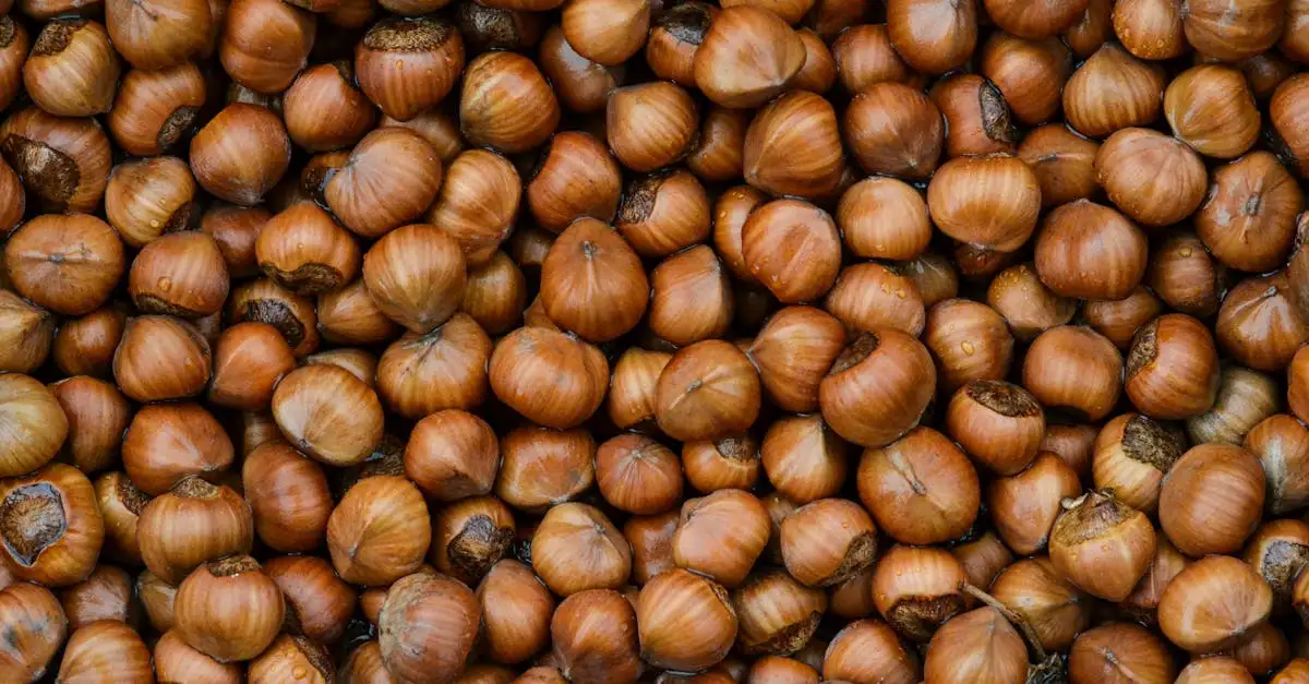 Welke kleur past bij walnoot hout? Ontdek stijlvolle combinaties!