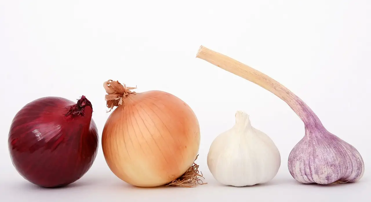 Welke kruiden bij gegrilde groenten? Ontdek smaakvolle combinaties!
