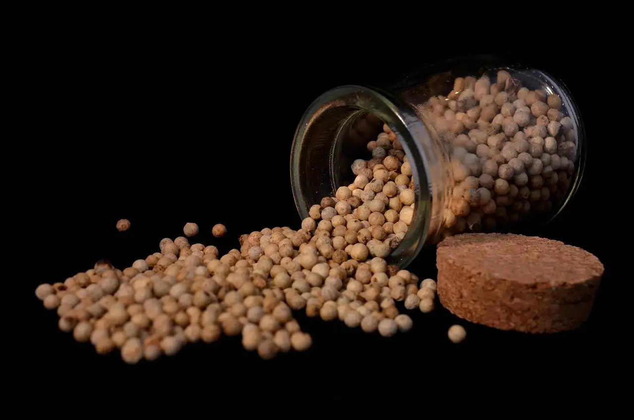 Welke kruiden bij witlof? Ontdek de perfecte combinaties!