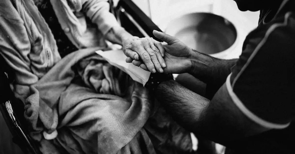 Welke rol hebben therapiehonden in de zorgsector?