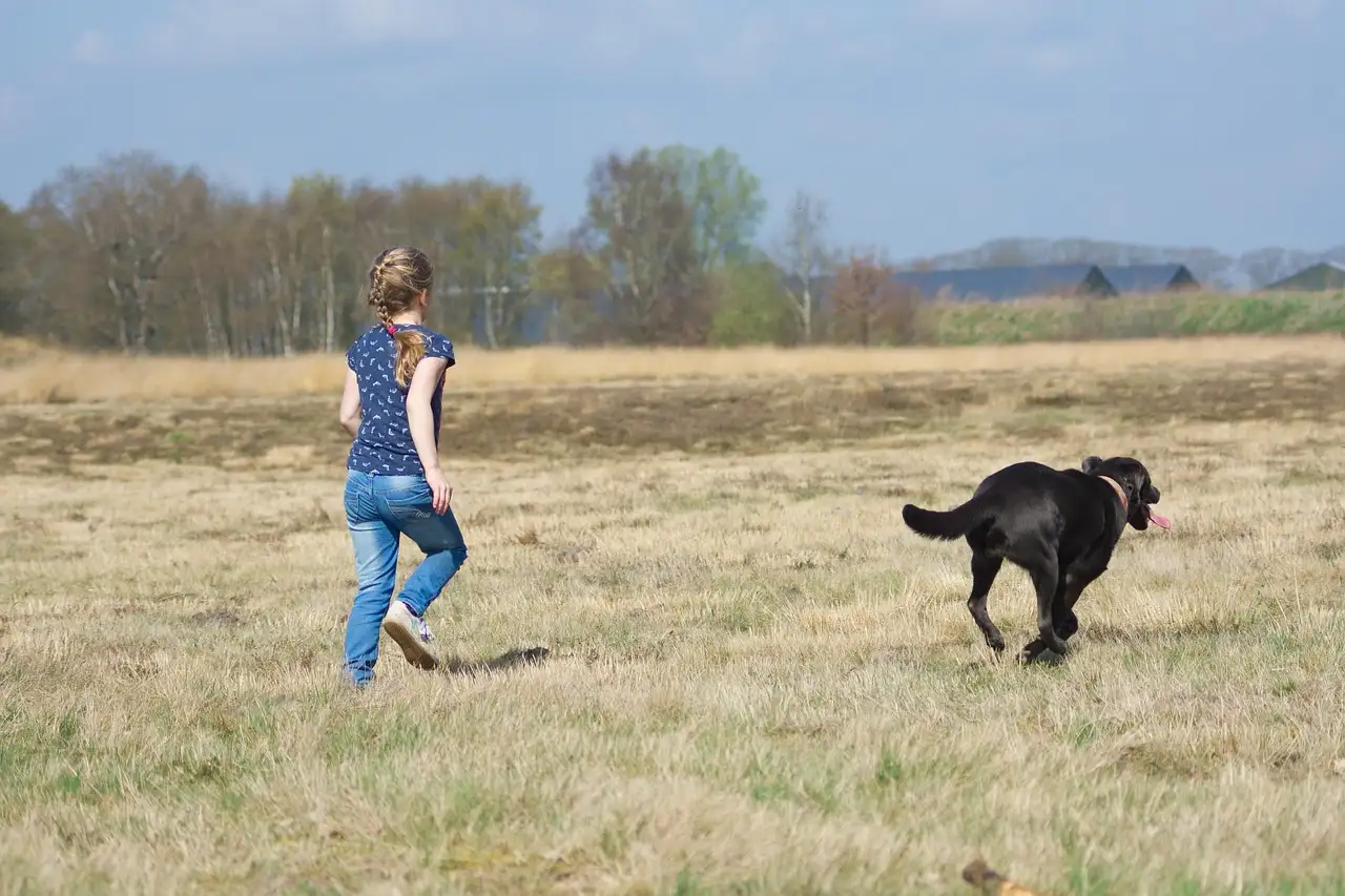 Welke soort hond past bij mij? Ontdek jouw ideale viervoeter!