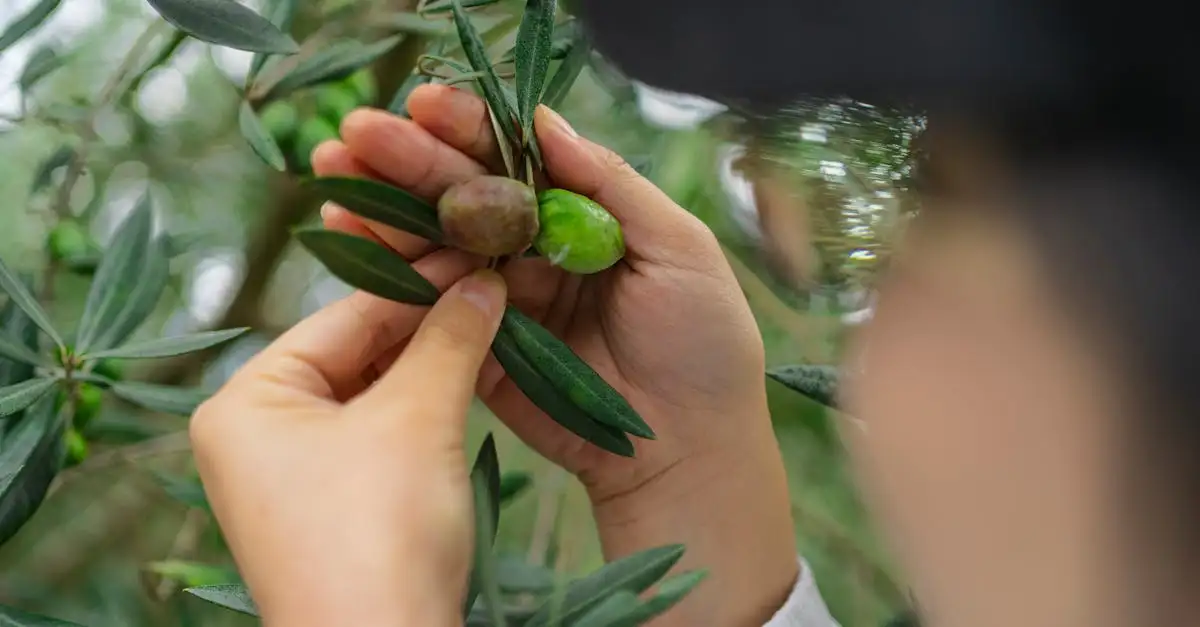 Welke vitamine bij kinderwens? Ontdek de beste tips hier!
