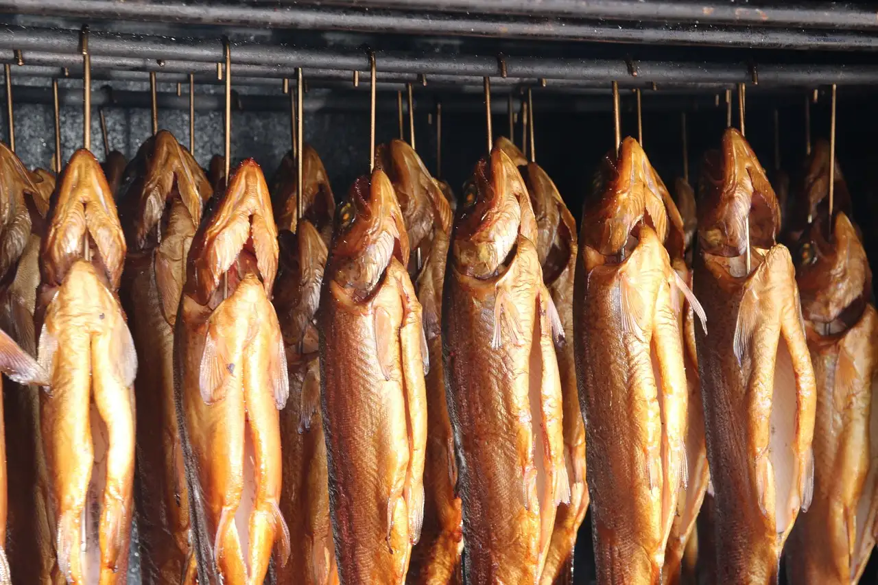 Welke wijn bij gerookte forel? Ontdek de beste combinaties!