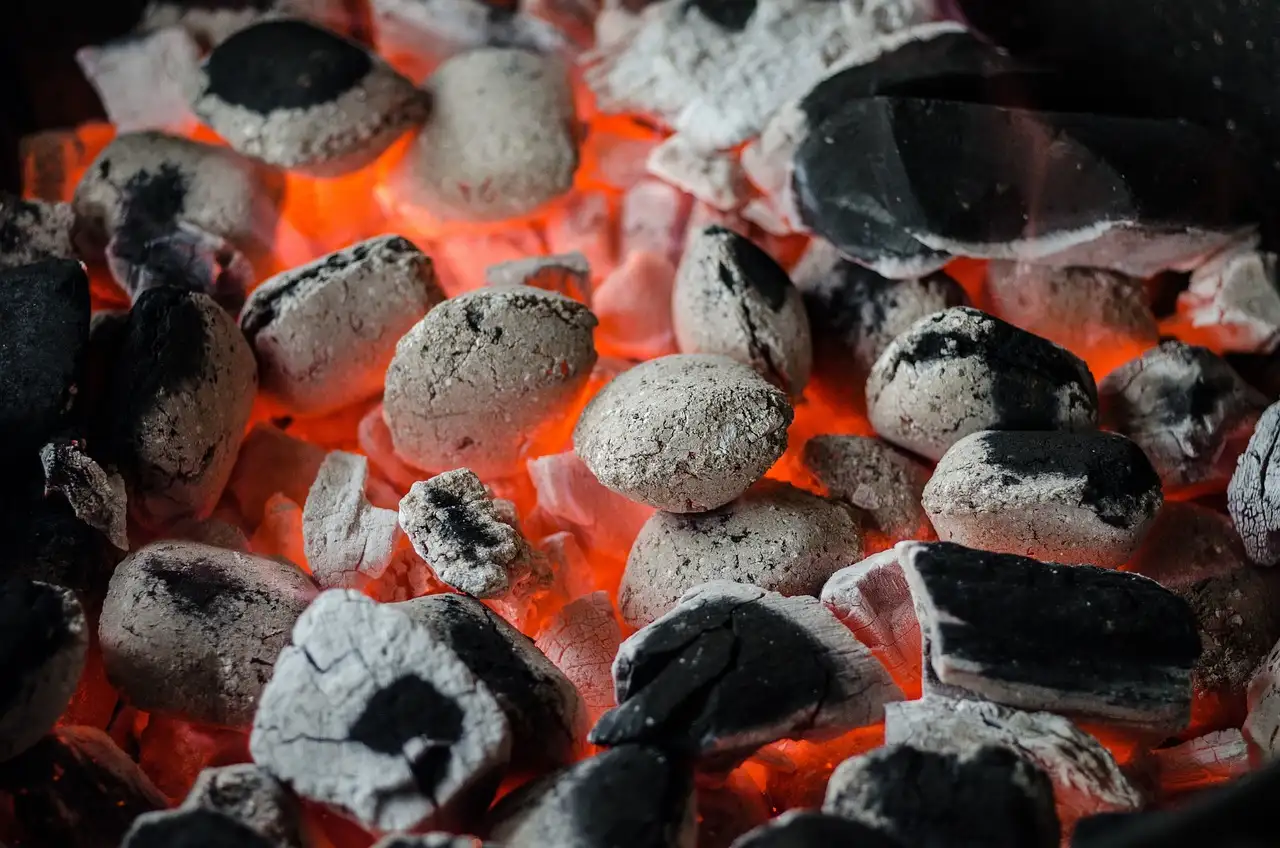 Welke witte wijn bij BBQ? Ontdek de perfecte combinaties!